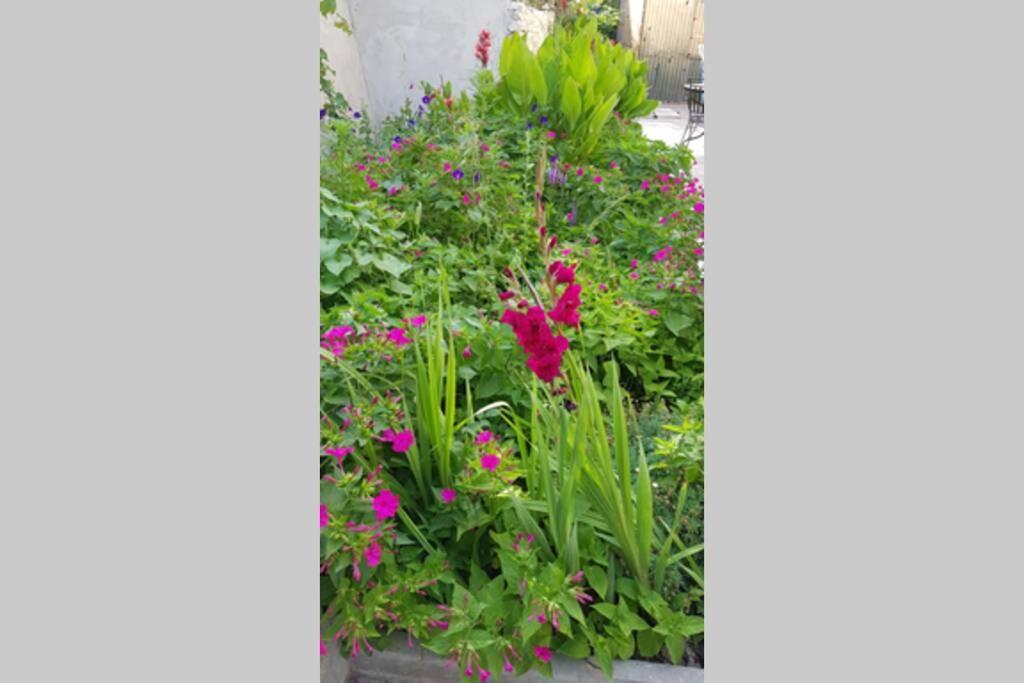 Apartman Buki **** สปลิท ภายนอก รูปภาพ